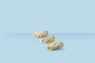 GYOZA VERDURE AL VAPORE