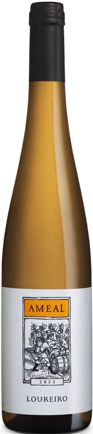 Ameal Loureiro