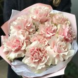 9 Trandafiri Frantuzesti Roz