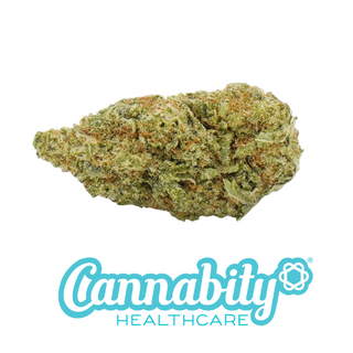 Gorilla Glue Hidropónica 1gr