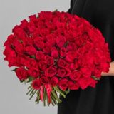 101 Trandafiri olandezi roșii 50 cm