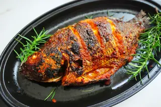 Tilapia fish