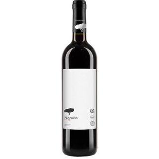 Vinho Maduro Tinto 75cl