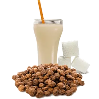 Horchata Líquida De Chufa DOP de Valencia