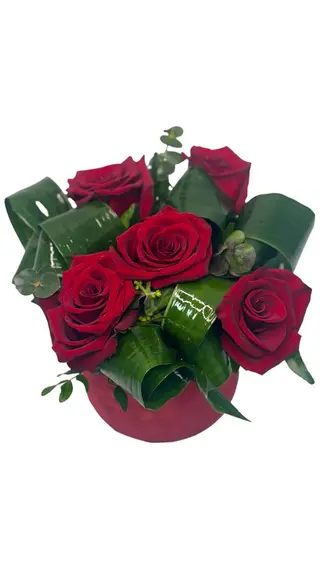 Cutie 5 Trandafiri red