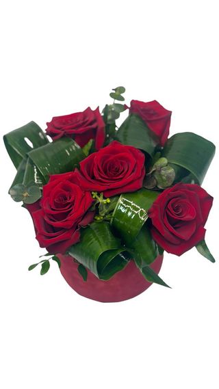 Cutie 5 Trandafiri red