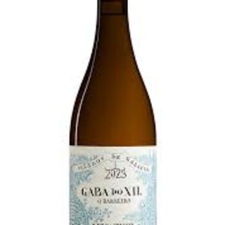 BOTELLA GABA DO XIL