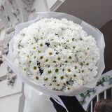 Букет з 25 білої хризантеми 