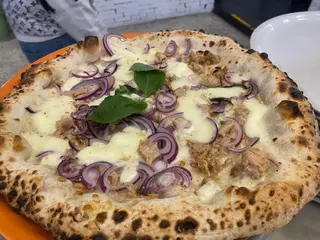 Cipollina