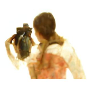 204. Kao Pad Pak Tofu