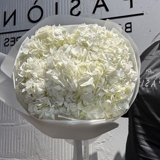 7 Колумбійських гортензій