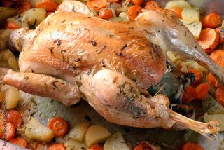 Plat Poulet