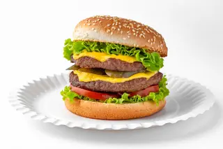 Mr.Double Cheese Burger