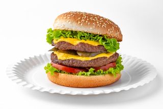 Mr.Double Cheese Burger