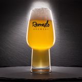 Чеський Пілзнер (0,5л)