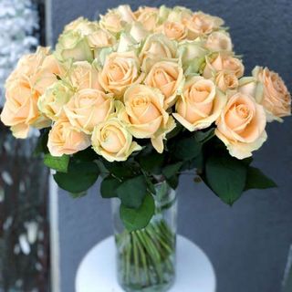 Троянда Піч, 1 шт