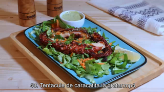 TENTACULE DE CARACATITA LA GRATAR