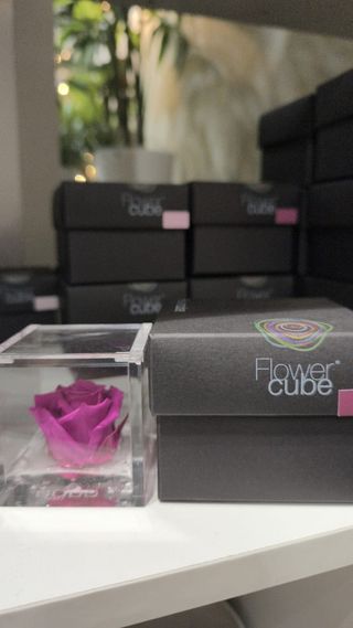 Flowercube Lila