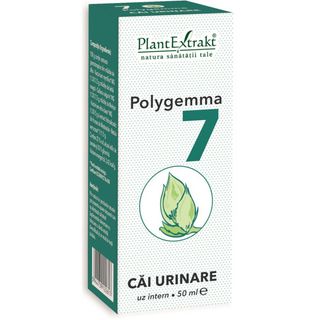 Polygemma nr. 7 - Cai urinare