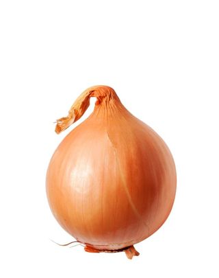 Oignon Hollande 1kg