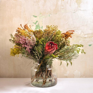 Ramo De Verdes Africanos