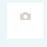 137. Пържени спагети със скариди (700г)