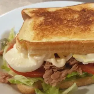 Sándwich vegetal