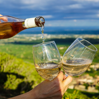 Вино Шанталь Де Блан Біле.н-сол. 9-13%, Tm Tiziano