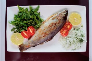 Форель на мангале