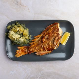 Crvena riba (ex škarpina)