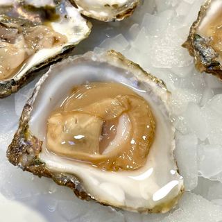 Ostras De Arcade (Unidad)