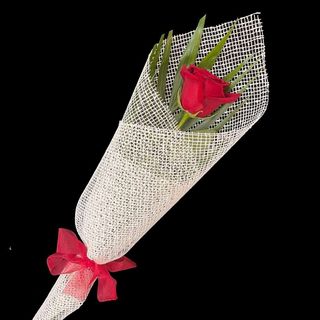 Rosa rossa confezionata