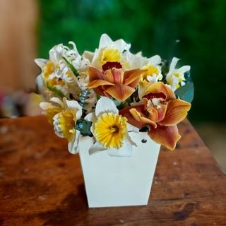 Aranjament cu cimbidium