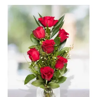 7 rose rosse 