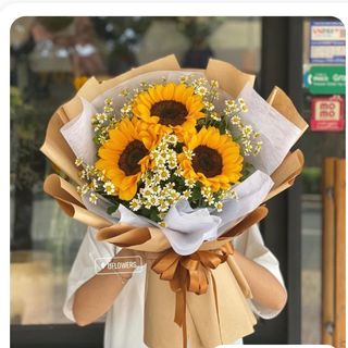 Girasoles Con Tanacentum