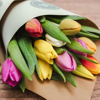 Pomo de 10 Tulipanes Mix Color