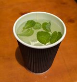 Mint, Cinnamon, Cardamom