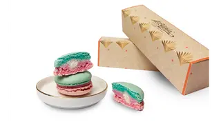 Makaronik Guma Balonowa