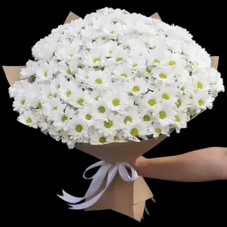 Buchet 7 crizanteme albe