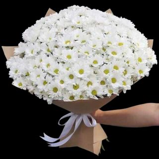 Buchet 9 crizanteme albe