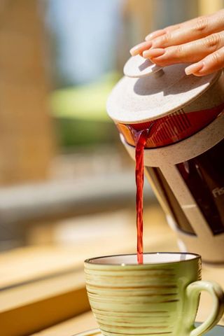 Смородина-мята