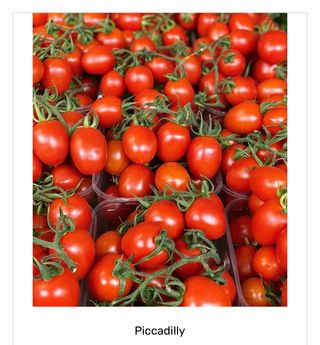 Pomodoro piccadilly Italia 500 gr. ca.