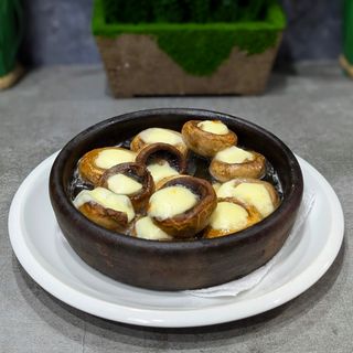 სოკო კეცზე სულგუნით