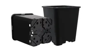 კვადრატული ქოთანი 2 LT