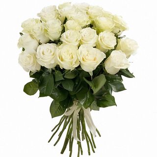 Bukiet z 9 białych róż Sympatia