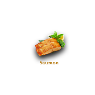 Brochettes Saumon