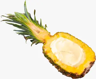 Sorbet tropical