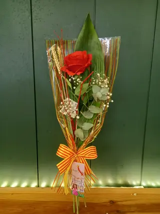 Rosa de Sant Jordi