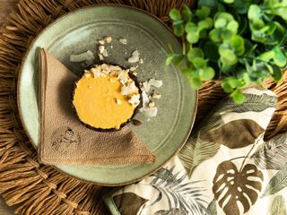 Tortica sa pasjim trnom