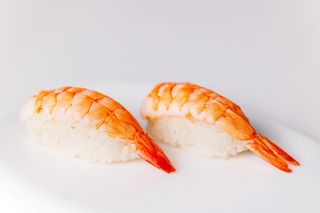 Shrimp nigiri